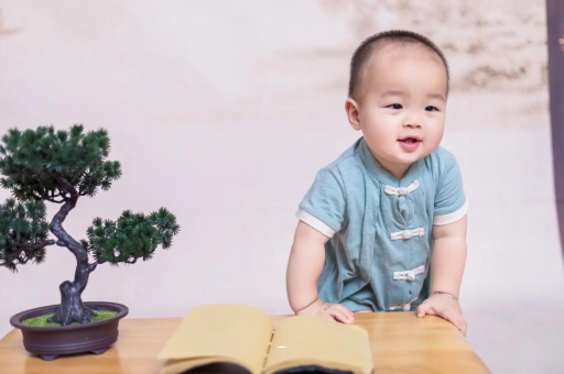 黔南可爱的企鹅宝宝